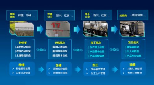 科技賦能，守護“天府糧倉”——川糧集團以全產業鏈云碼溯源引領糧油質量安全新標桿